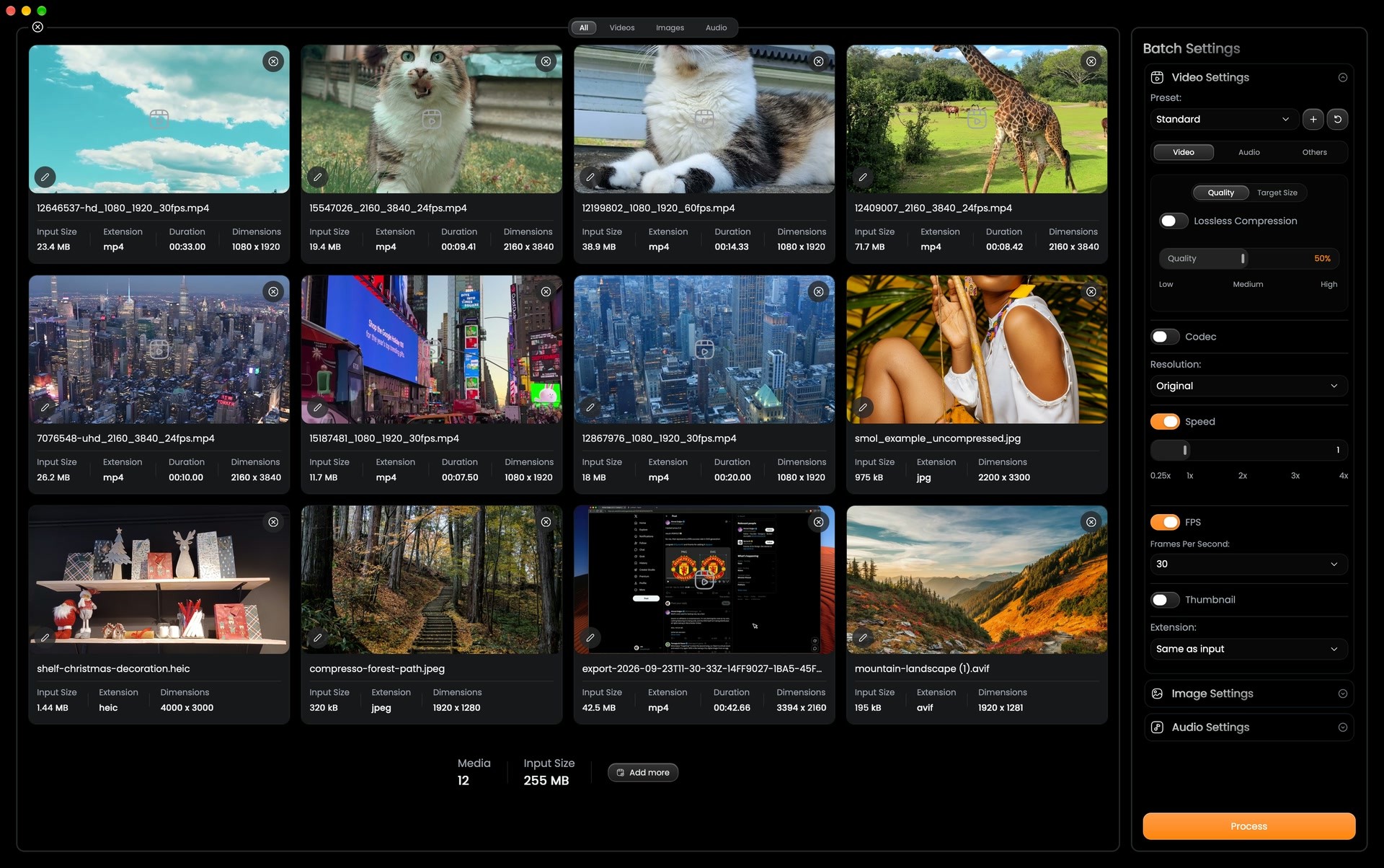 A batch of videos, images and audio